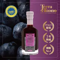 在飛比找momo購物網優惠-【Terra Del Tuono雷霆之地】巴薩米克醋Spri