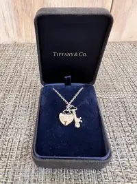 在飛比找Yahoo!奇摩拍賣優惠-TIFFANY & CO.蒂芬妮 PT950 白金 愛心 K