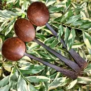 COCONUT SHELL SPOON Eco-Friendly Ceylon Hand Crafts Kitchen Tools Free-Shipping