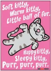 BIG BANG THEORY SING SOFT KITTY WARM KITTY PURR PURR PURR MAGNET 2.5” X 3.5”