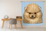 3D Pomeranian Pet Puppy O064 Photo Curtain Printing Fabric Window Vincent Amy