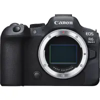 在飛比找Yahoo!奇摩拍賣優惠-Canon EOS R6 Mark II〔單機身〕2420萬