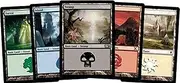 Magic: The Gathering 500 Basic Lands - 100 of Each Land Type (Plains, Islands, Swamps, Mountains, Forests)