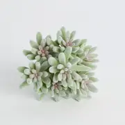 Artificial Succulent Minima Pick [ASPLSUCCU15B_MIN]