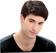 Men Short Dark Brown Wig Handsome Male Daily Costume Synthetic Full Wigs Natural Dark Brown Hair Replacement Wig