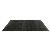 Raya Rug