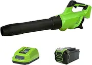 Cordless Leaf Blower, 650W High Power Leaf Blower, 21000 RPM, Wind Speed 210 KM/H, Turbocharging, 40V Lithium Battery, Continuously Variable Speed, BMS Battery Protection, for Garden, Patio, Lawn