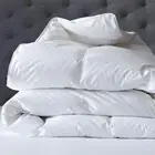 Super King Bed Renee Taylor 600 GSM Deluxe High Loft Quilt With Cotton Cover Pre