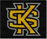 FANMATS 18653 Kennesaw State Owls Tailgater Rug - 5ft. x 6ft. Sports Fan Area Rug, Home Decor Rug and Tailgating Mat - Interlocked KS Logo