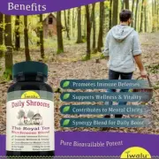 Reishi Mushroom Capsules 10x Mushroom Blend Lions Mane, Shiitake, Turkey Tail