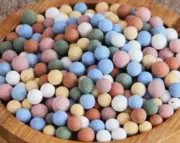 Color Hydroponics Clay Balls Premium plants growing Medium Succulents - AU Stock