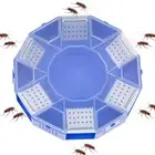 Wear-resistant Roach Catcher Safe Non-Toxic Cockroach Repellent Living Room