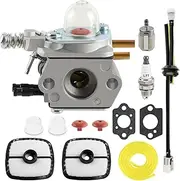 MOTOALL Carburetor with Tune Up Air Filter Kit for Echo SRM-2110 GT-2000 PE-2000 PP-800 PPF-2100 PPT-2100 Trimmer Carb