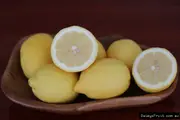 Buy Eureka Lemon Trees - Grafted in Australia (Citrus limon)