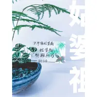 在飛比找蝦皮購物優惠-溫栽｡weplant∥ 獻供禮盆 觀葉文竹金線蓮迷你彩葉陶瓷