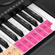 Piano Keyboard Keys Stickers for Beginners for 88/61/54 Keys Piano New K4J0