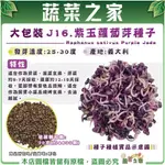 【蔬菜之家滿額免運】大包裝J16.紫玉蘿蔔芽種子50克(約3350顆) 芽菜種子 莖部帶有紫色且微辣，適合作為