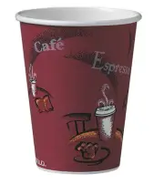 Dart Solo Bistro Design Hot Drink Paper Cups, 12 oz., 300 ct. ONEDAY SHIPPINGG!!