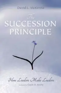 在飛比找博客來優惠-The Succession Principle: How 