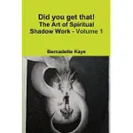 DID YOU GET THAT! THE ART OF SPIRITUAL SHADOW WORK - VOLUME 1