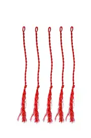 5pk Bull Whip Cracks Stockwhip Poppers Crackers RED COLOUR