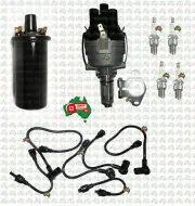 6 Volt Ignition Coil Kit Fits for MASSEY FERGUSON Tractor TE20 TEA20 TED20