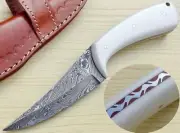 Damascus Steel Skinner Knife, Handmade Survival Camping Knife With Bone Handle