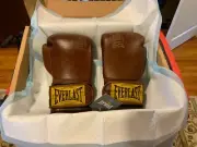 EVERLAST 1910 PRO HOOK AND LOOP SPARRING BOXING GLOVES 16 oz BRAND NEW WITH TAGS