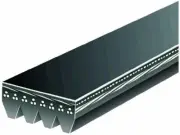 Gates Multi Rib Belt fits Toyota Echo 2000-2005 1.5L 4 Cyl GAS 33DTPV (for: Toyota)