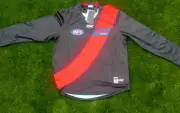 Essendon Bombers 2019, Men's Xxl Long Sleeve Guernsey