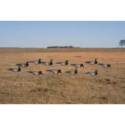 AVERY GHG PRO-GRADE WINDSOCK DECOYS - CANADA GOOSE WITH FLOCKED HEADS