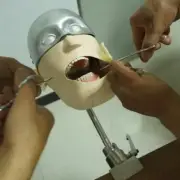 Stainless Steel Head Model NISSIN Dental Manikins Models Phantom Head