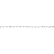 Silver 25cm Solid Diamond Cut Singapore Anklet It