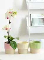 韓系陶瓷花盆 簡約創意陶瓷