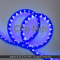 在飛比找Yahoo!奇摩拍賣優惠-110V-藍色外皮LED二線3528水管燈50米 - led