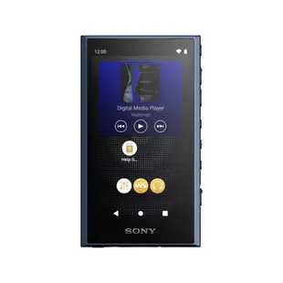 【可議】 SONY 索尼 NW-A306 Walkman 數位隨身聽 可攜式音樂播放器 SONY隨身聽 A306 可選色