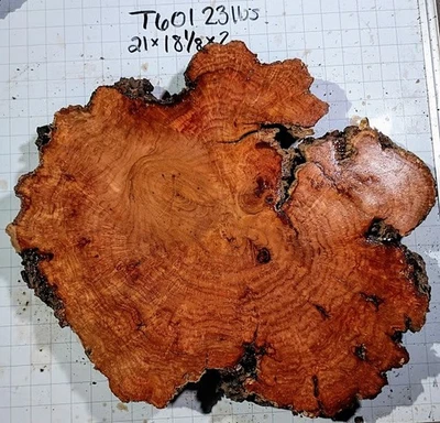 T601 Cherry Burl Live Edge Cookie Tree Round 21x18 1/8x2Woodworking
