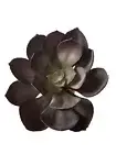 Artificial Succulent Plant Unpotted