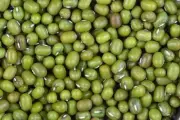 Organic Mung Beans 20KG, Bird Food Bean Feeding Birds Food Pet Avian Nutrition