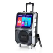 Dolphin Karaoke Machine w/ 14" Touchscreen Portable Rechargeable with Microphone