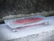 Serving / Make Up / Resin / Bathroom / Decorative Tray