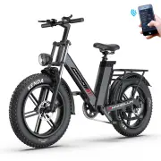 [EU DIRECT] PHNHOLUN C6 PRO Electric Bike 48V 17AH Battery 1000W Motor 20inch Tires 50KM Mileage 150KG Max Load Electric