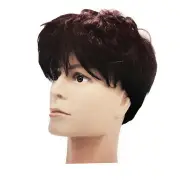 MENS WIG 80s Fancy Dress Mens Party Costume Rock Bogan Punk 70s 90s - Brown