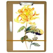 14" x 18" Drawing Board, Artist Sketch Boards with Handle for Drafting Art, P...