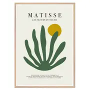Galrie Matisse's Les Fleurs du Soleil Stunning - Elegant Botanical Art Print Home Decor, Wood Frame, A4 21 x 30cm (8 x 12inch)