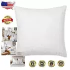 30x30 Down & Feather Pillow Inserts with Zipper Closure - Ideal for Shams