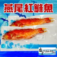 在飛比找樂天市場購物網優惠-【新港漁會】燕尾紅鰷魚-500g-600g-尾 (1包組)