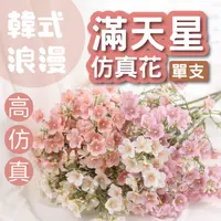 在飛比找PChome24h購物優惠-1組2入 韓式仿真滿天星 滿天星 仿真花 繁星花 小星花 滿