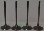 Honda Intake Valves PIONEER 16-24 SXS1000 M3 M3L M3P M5D M5L M5P 14711-HL4-000