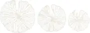 ✨ Handmade White Coral Shaped Paper & Metal Wall Décor (Set of 3 Sizes)